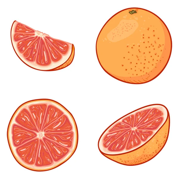 Vector Set Cartoon Grapefruits. — Stockvector