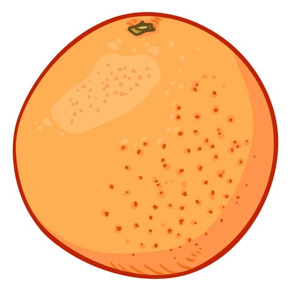 Vektor rajzfilm színes Grapefruit — Stock Vector