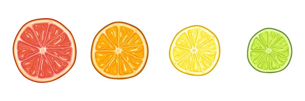 Vector Set van Citrus segmenten van de cirkel. Rode Grapefruit, oranje, gele citroen en groene Lime. — Stockvector