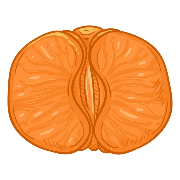 Vector Cartoon Tangerine sem casca. Cortes de mandarim —  Vetores de Stock