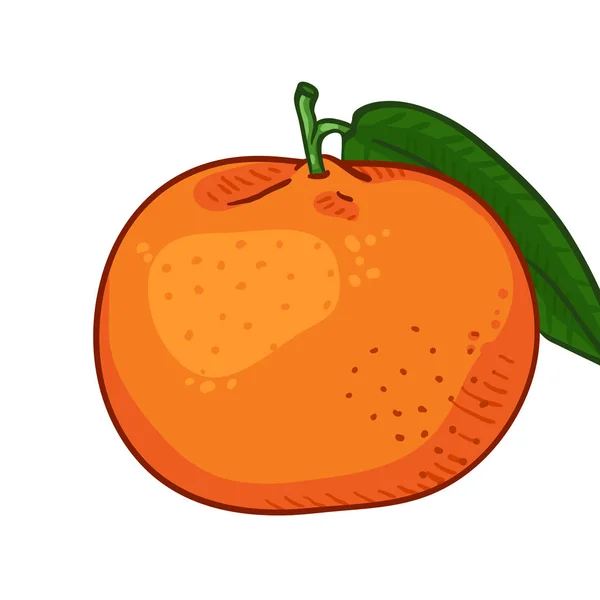 Vector de dibujos animados naranja mandarina con hoja verde — Vector de stock