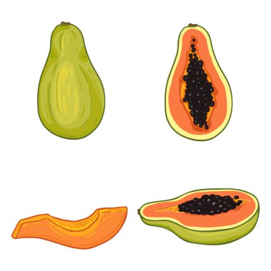 Vektör Set çizgi film Papaya meyve