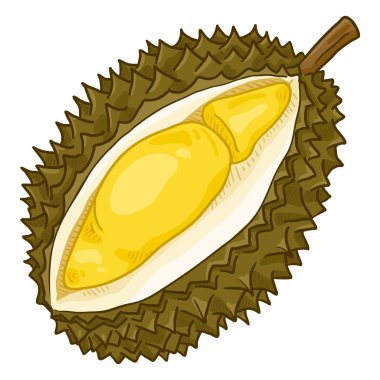 Vektör karikatür Durian meyve