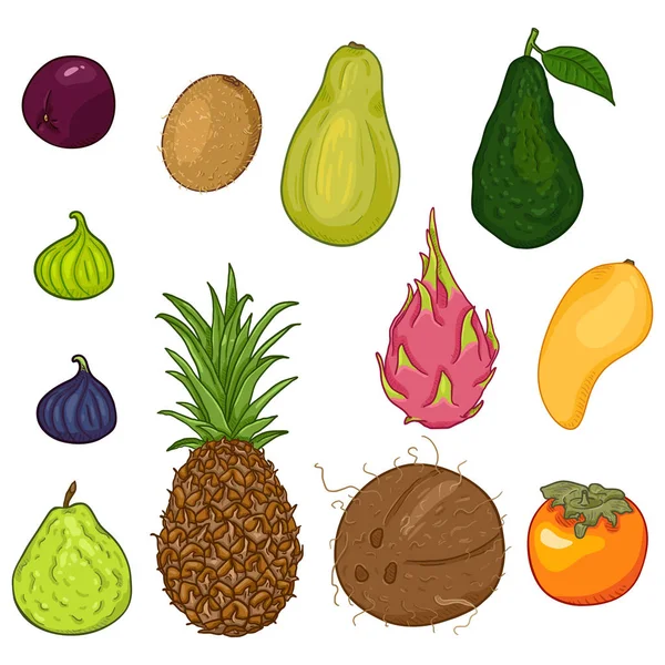 Vector Set Cartoon hele exotische tropische vruchten — Stockvector