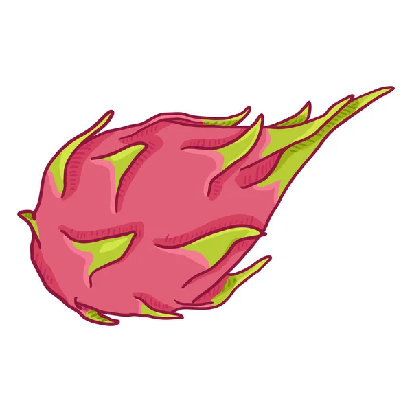 Dibujos animados de vectores Pitahaya fruta del dragón entero — Vector de stock