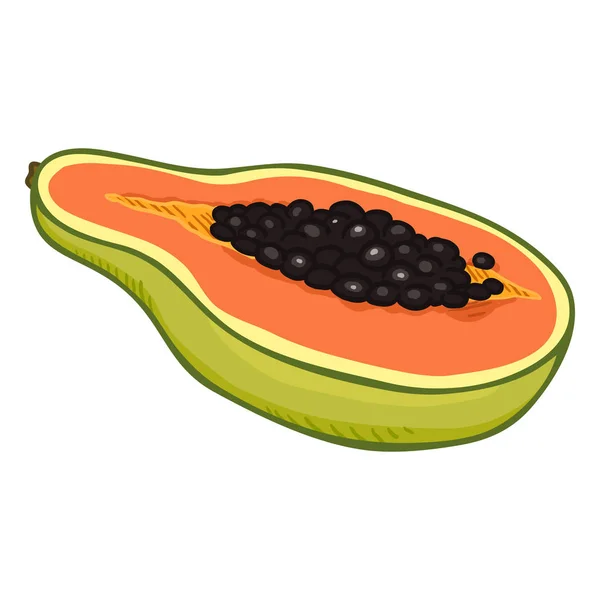 Vector Cartoon Papaya Fruit — Stockvector