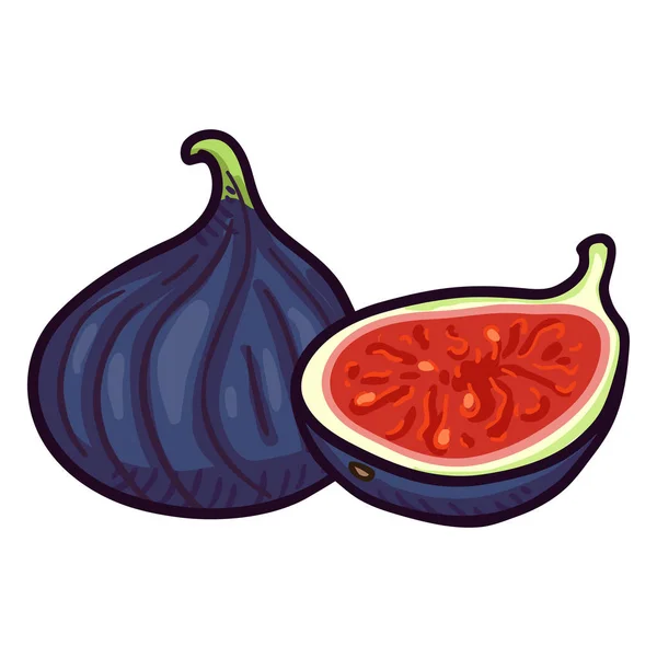 Vector de dibujos animados fruta azul fresca de la higuera — Archivo Imágenes Vectoriales