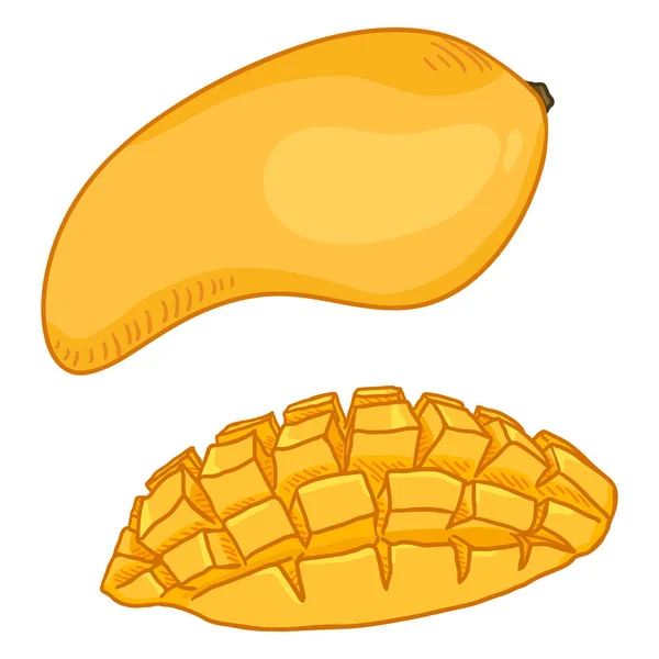 Vektor Cartoon gelbe Mango-Frucht. ganz und in Scheiben geschnitten. — Stockvektor