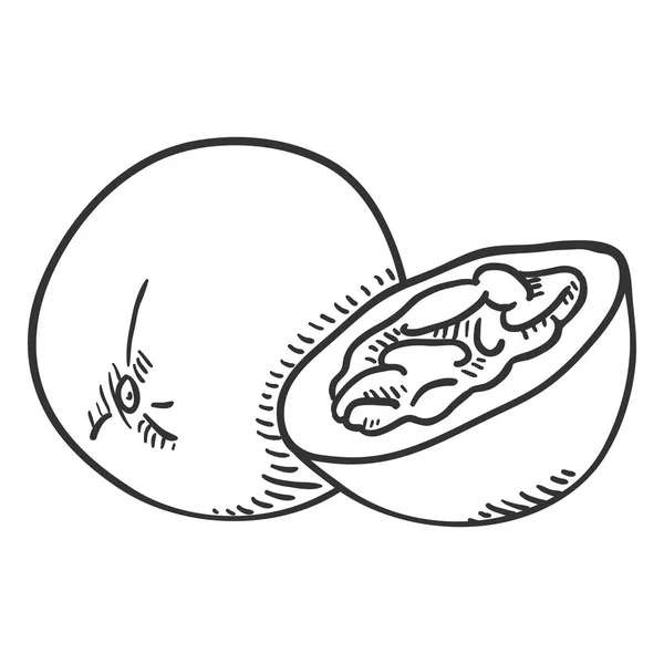 Vector Sketch Passion Fruit. Inteiro e fatiado . — Vetor de Stock