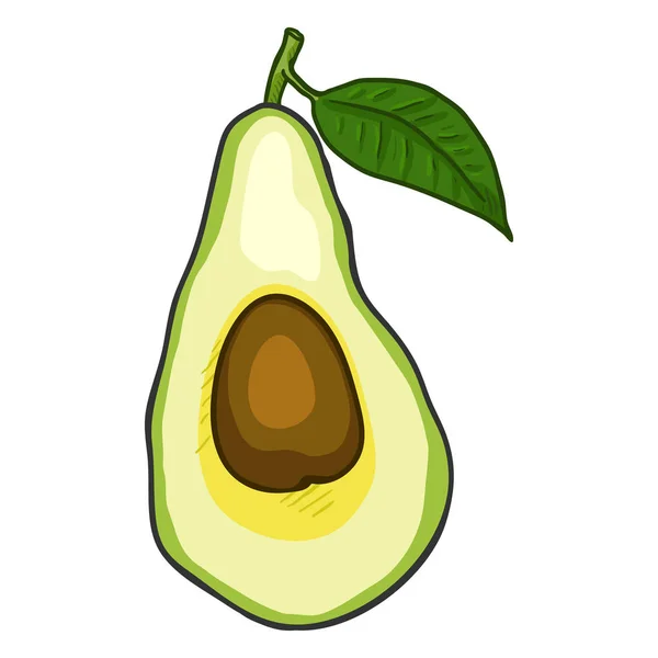 Vector Cartoon Half Cut Avocado Fruit — Stock Vector