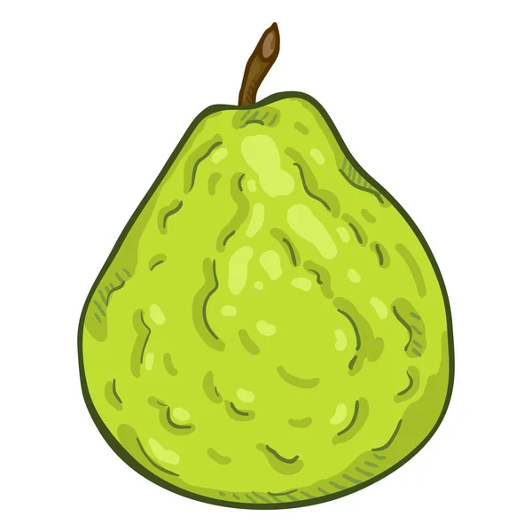 Vector Cartoon Whole Green Guava Fruit — Stock Vector