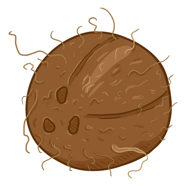 Caricature vectorielle noix de coco entière — Image vectorielle