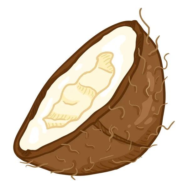 Vector Cartoon helft gesneden kokosnoot — Stockvector