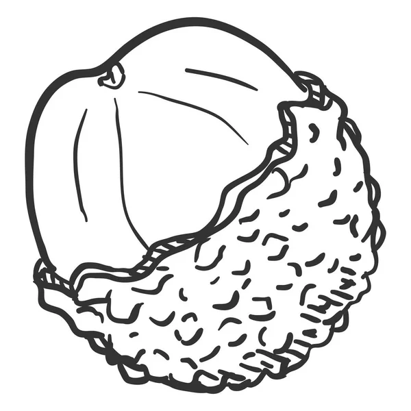 Vektorskizze Litschi-Frucht — Stockvektor