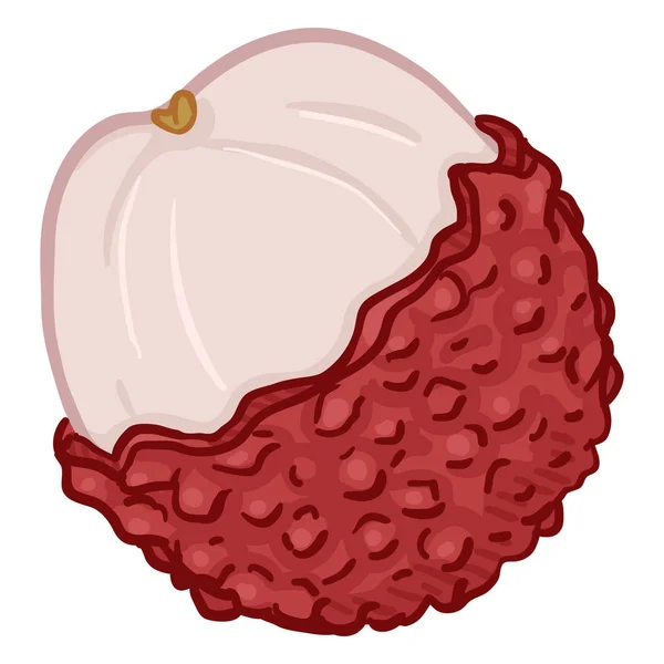 Vector Cartoon Lychee Frutta — Vettoriale Stock