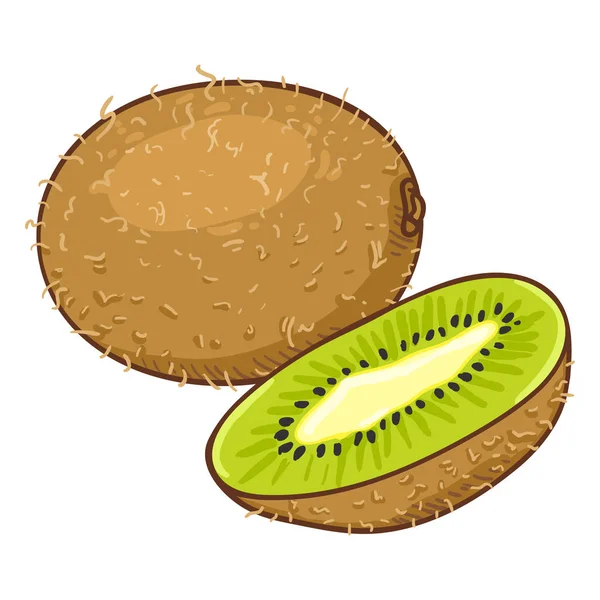 Caricature vectorielle Kiwi Fruit. Entier et coupé — Image vectorielle