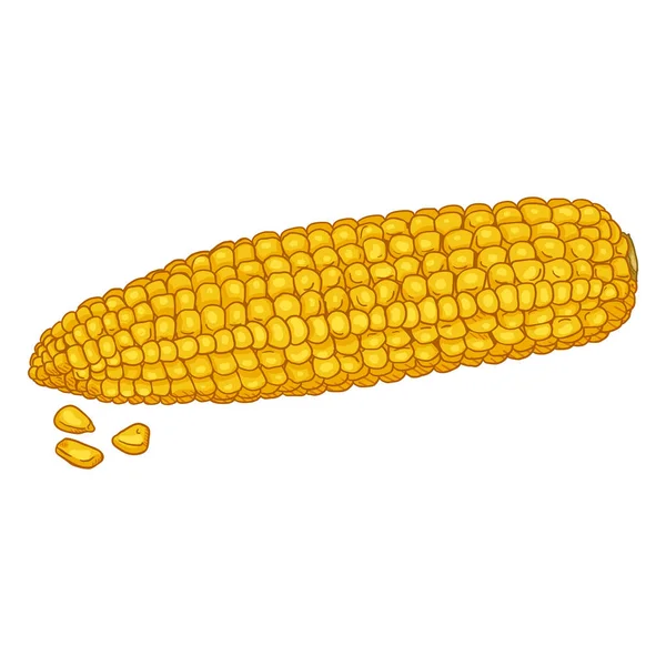 View Cartoon Boiled Yellow Corn Cob