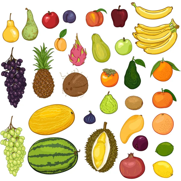 Vector Set Cartoon Color Fruits — Stock Vector