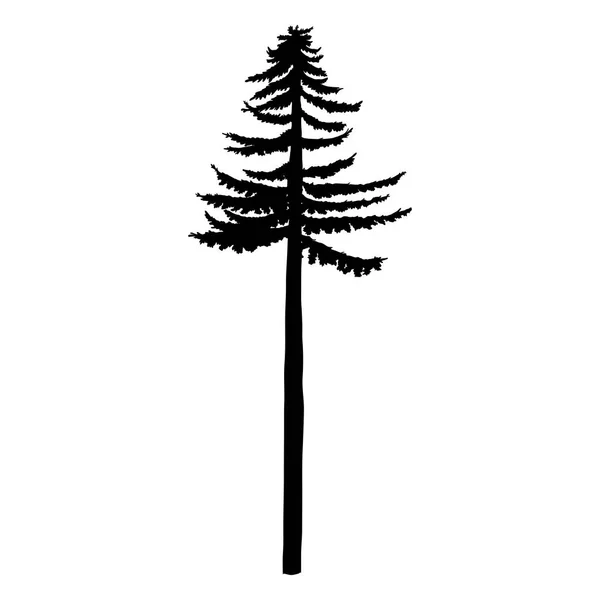 Vektor svart silhuett av tall Pine Tree — Stock vektor