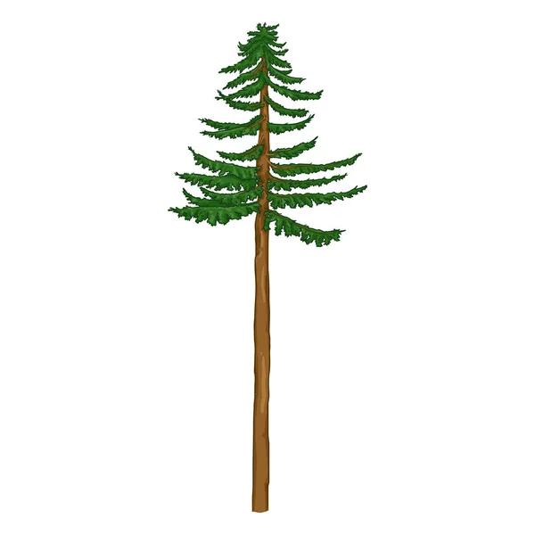 Vector Cartoon Pine Tree with Long Trunk — Stock Vector