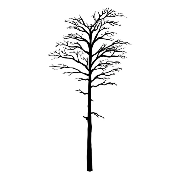 Vector Black Silhouette of Bare Pine Tree — Stock Vector