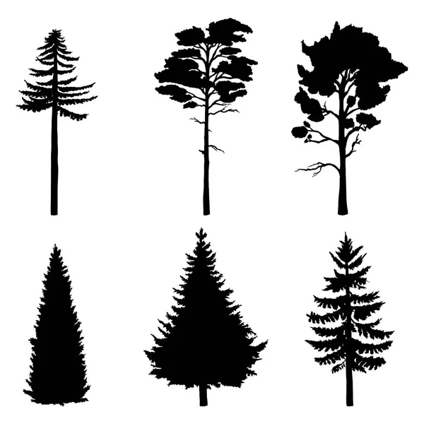 Σύνολο διανυσματικών δέντρων πεύκου μαύρες σιλουέτες — Διανυσματικό Αρχείο