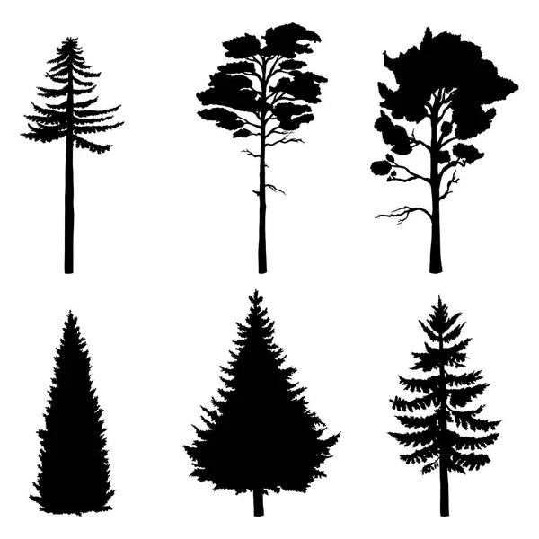 Векторный набор черных силуэтов сосен — стоковый вектор