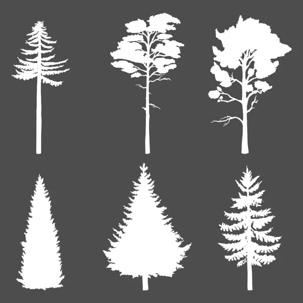Vektor uppsättning av vit silhuett barrträd på mörk bakgrund — Stock vektor