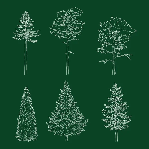 Vector Set of Chalk Hand Drawn Sketch Pine Trees — Stock Vector
