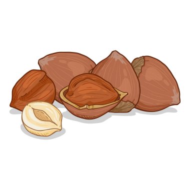 Vektör Karikatür Fındık Yığını