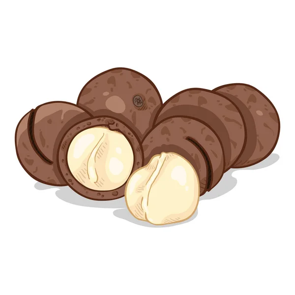 Vector cartoon stapel macadamia noten — Stockvector