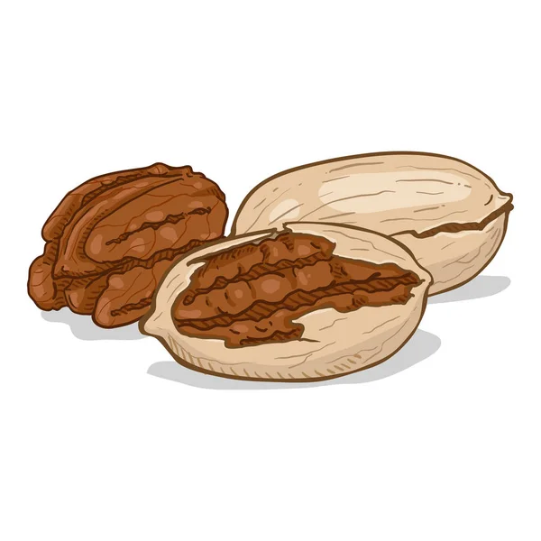 Wektor Cartoon stos orzechów pecan — Wektor stockowy