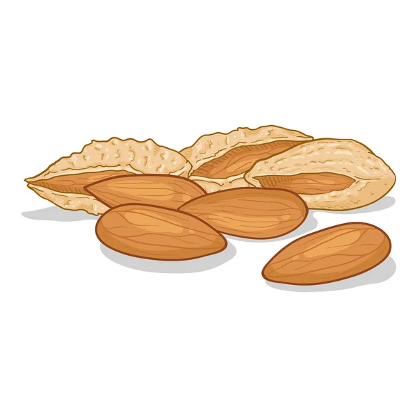 Caricature vectorielle Pile d'amandes — Image vectorielle