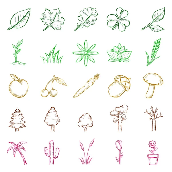 Vector Set of Isolated Color Sketch Plants Icons — Stock Vector