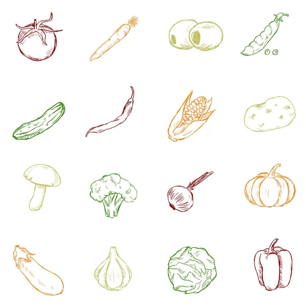 Vector Conjunto de Dibujo de Color Vegetales Iconos . — Vector de stock