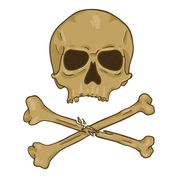 Cráneo de dibujos animados vectorial con huesos cruzados — Vector de stock