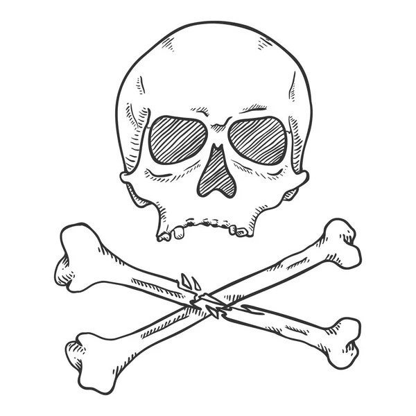 Vector Sketch Skull con huesos cruzados — Archivo Imágenes Vectoriales