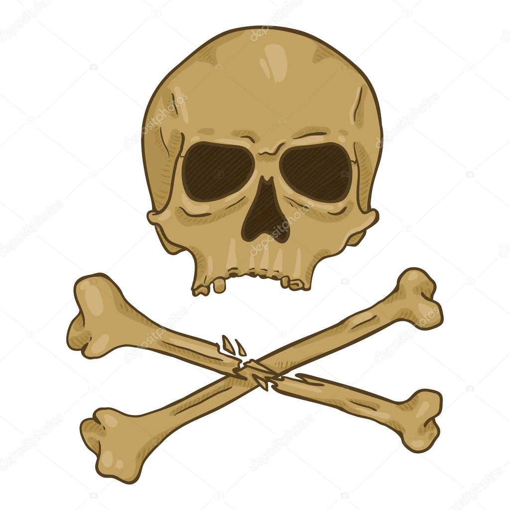 Vector Cartoon Old Brown Skull with Cross Bones