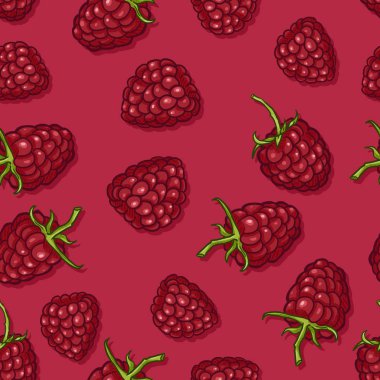 Ahududu Vektör Dikişsiz Desen