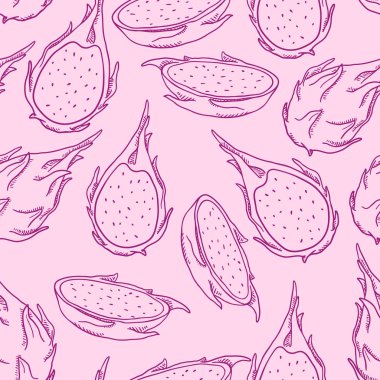 Sketch Dragon Fruits Vektör Dikişsiz Desen