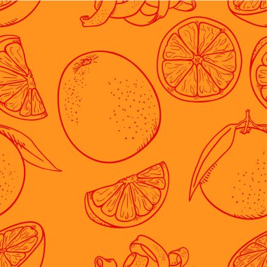 Vector Seamless Pattern of Sketch Oranges vector