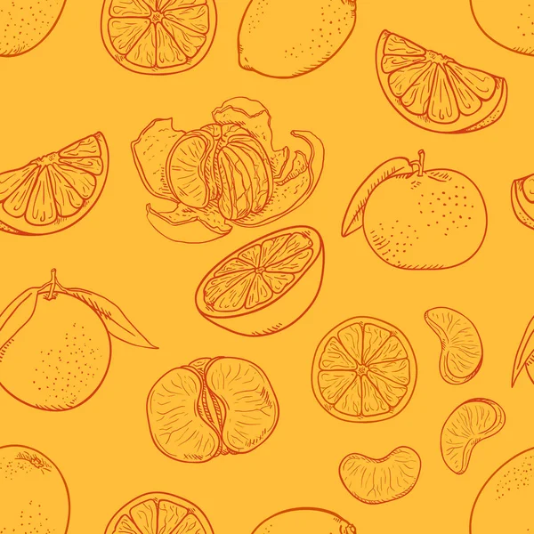 Pola Tanpa laut Vektor Buah Sketch Citrus di Latar Belakang Oranye - Stok Vektor