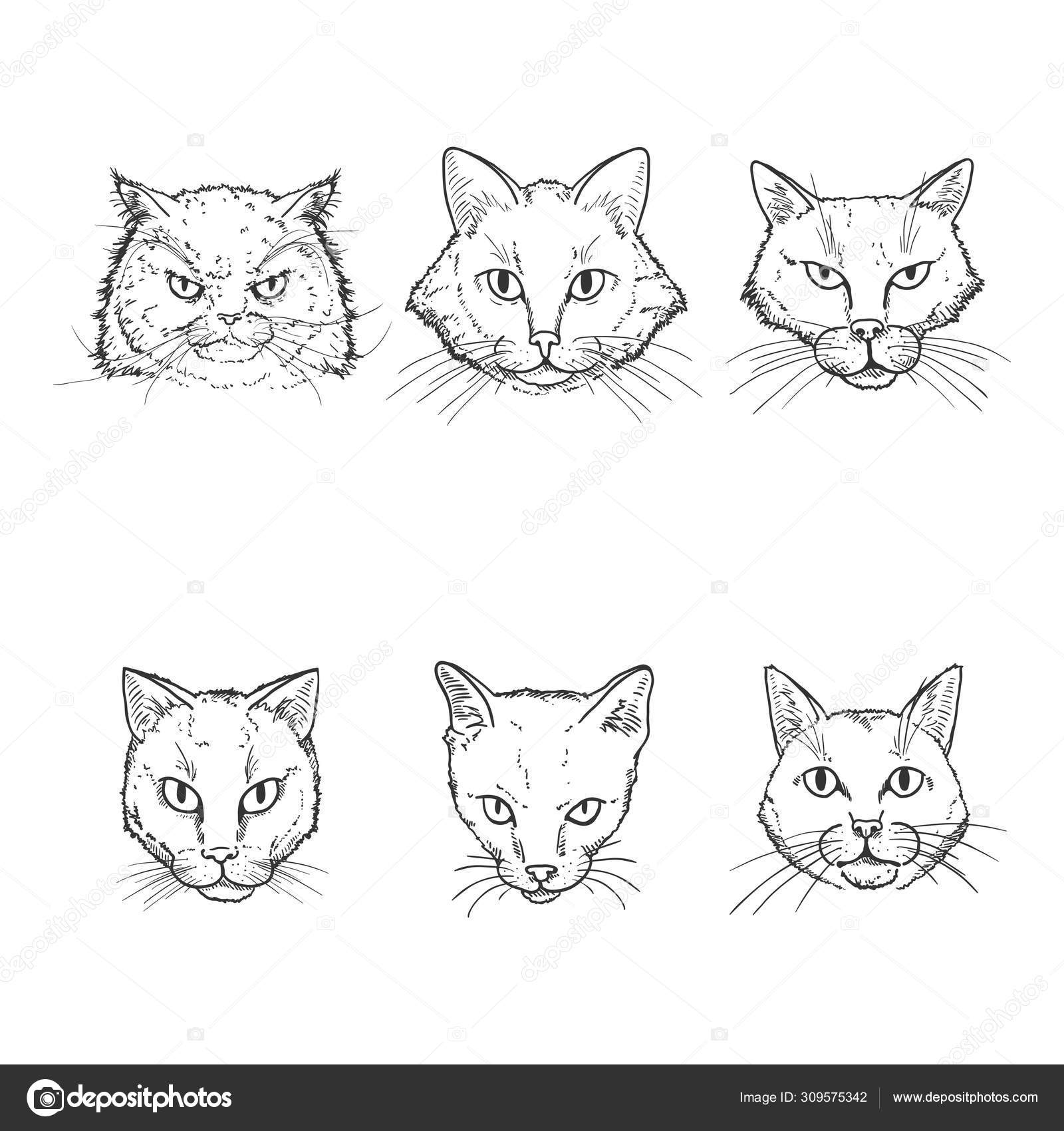Vector Set of Sketch Cats Faces. — Stock Vector © nikiteev 309575342