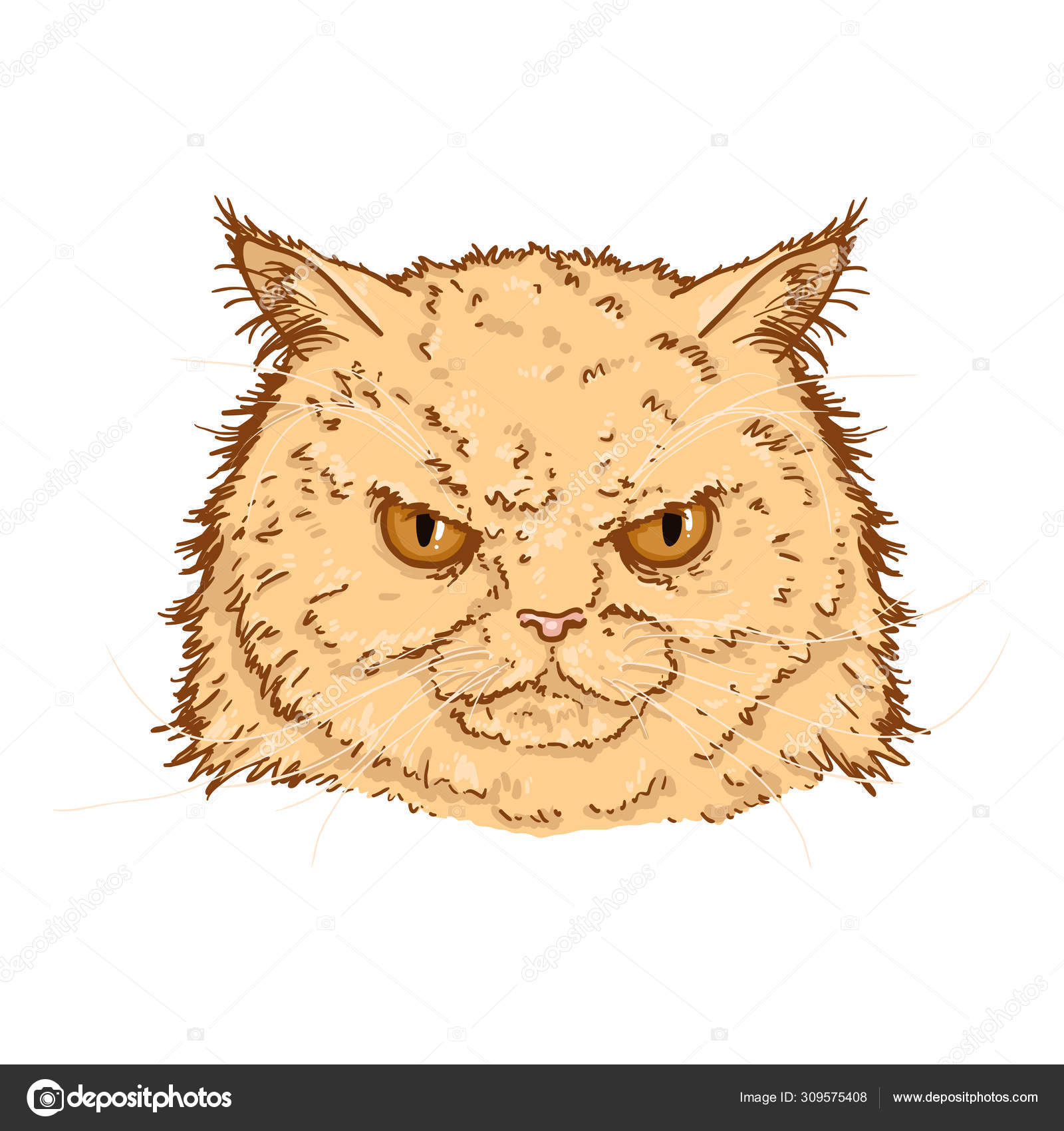 vector illustration of the face of a cartoon cat with an angry