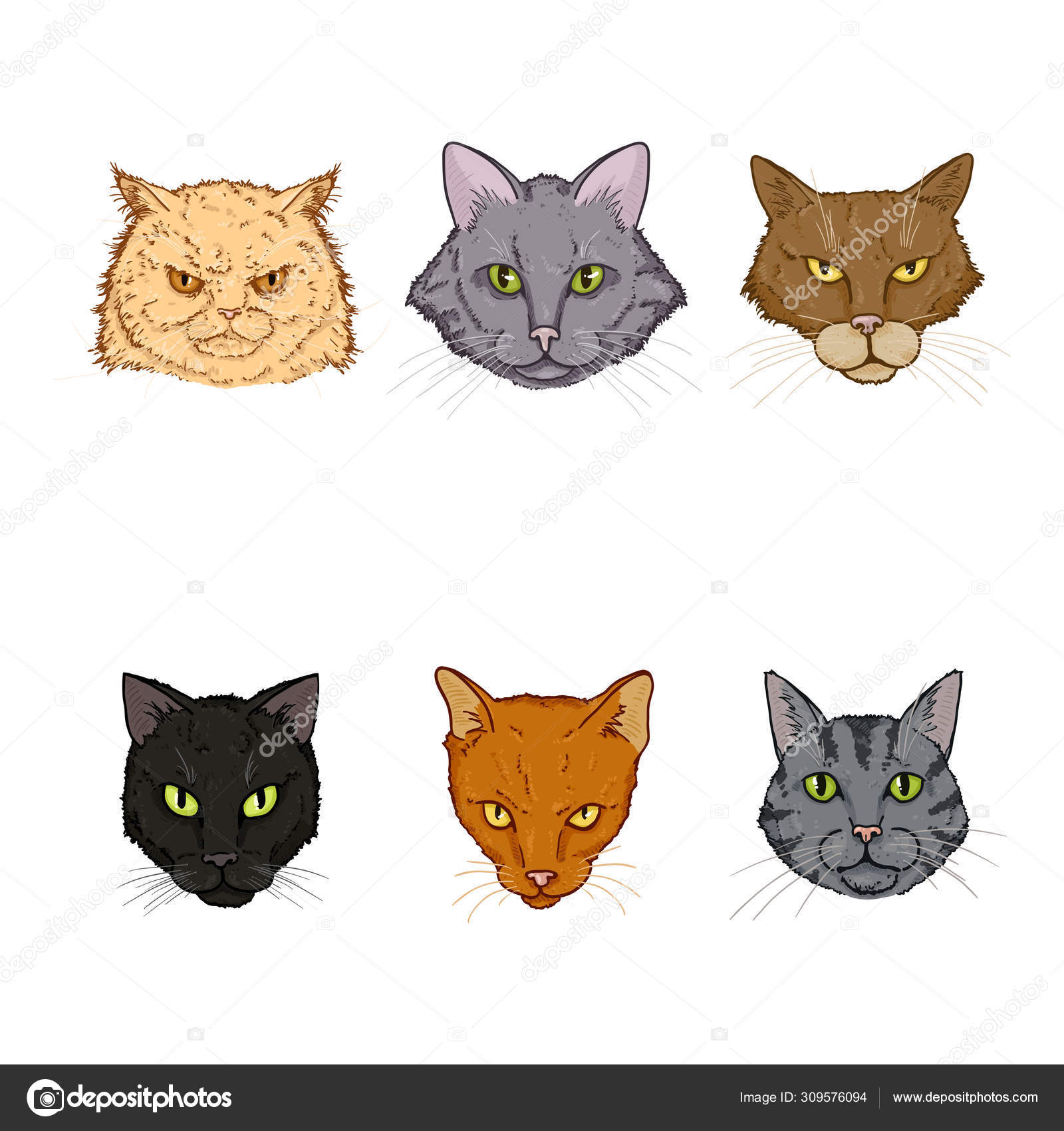 Vector Set Of Different Cartoon Cats Faces. Cartoon Animals Head