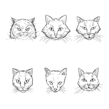 Vektör Seti Sketch Cats Yüzler.