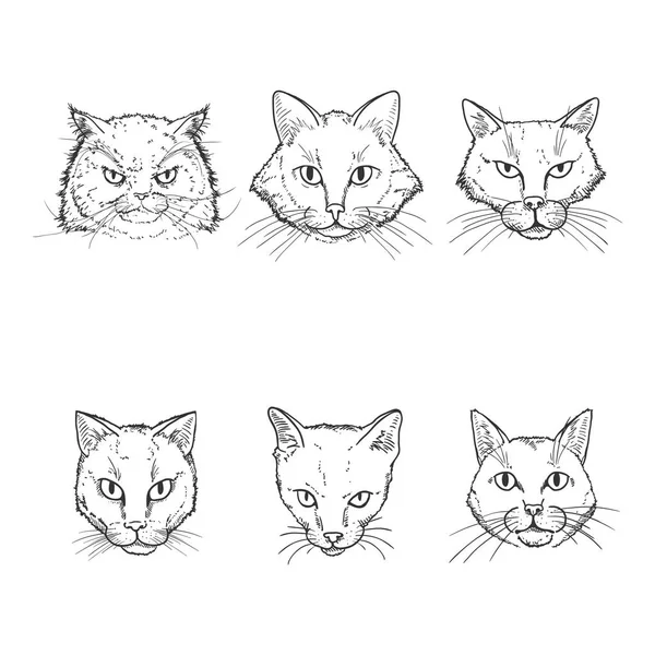 Ensemble vectoriel de visages de chats croquis . — Image vectorielle