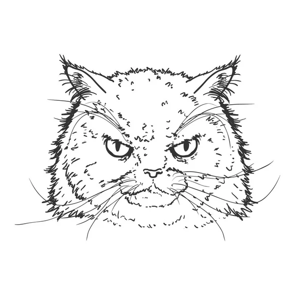 Croquis vectoriel Portrait de chat persan. Illustration du visage de félin . — Image vectorielle