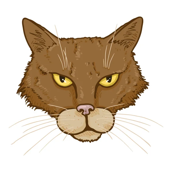 Vektor Cartoon streunende Katze Porträt. Katzengesicht-Illustration. — Stockvektor