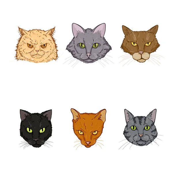 Ensemble vectoriel de visages de chats de bande dessinée . — Image vectorielle